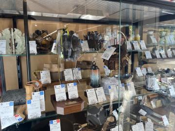 「アウトドア用品のキャンプ用品 」