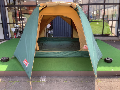 初心者必見！設営簡単な【コールマン タフワイドドーム4/300】をご紹介