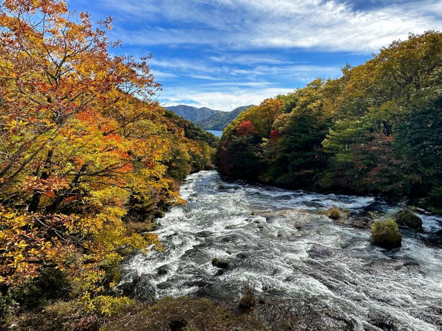 トレファクスポーツアウトドア入間扇台店ブログ画像2