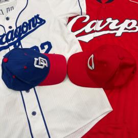 「野球の中日ドラゴンズ 」