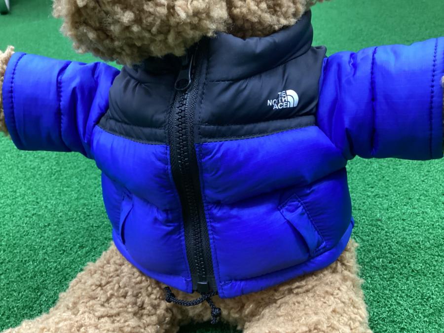 トレファクスポーツアウトドア長久手店ブログ画像3