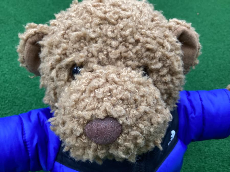 トレファクスポーツアウトドア長久手店ブログ画像4