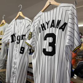 「スポーツ用品の野球 」