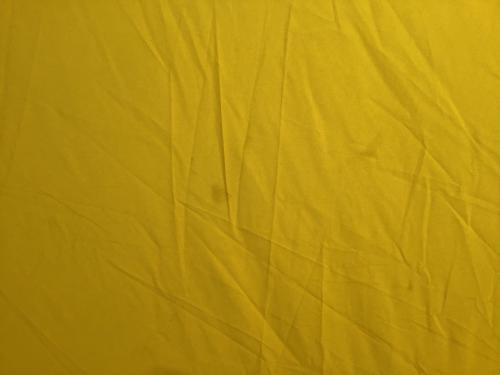 オシャレ感のある“柄物”シェルター BIG AGNES(ビッグアグネス)の