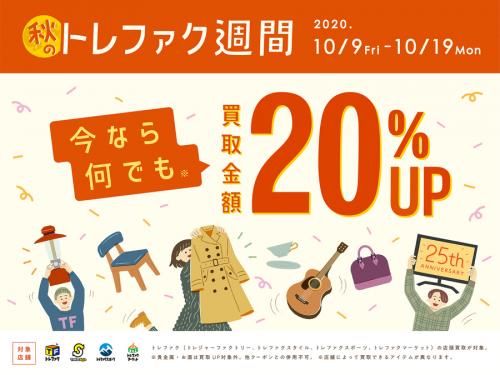 NEMO(ニーモ)の中でもトップレベルの人気を誇る2ポール