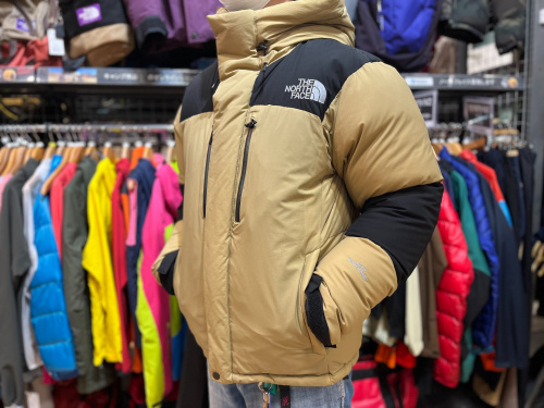 9909919922002THE NORTH FACE バルトロライトジャケット　ケルプタン