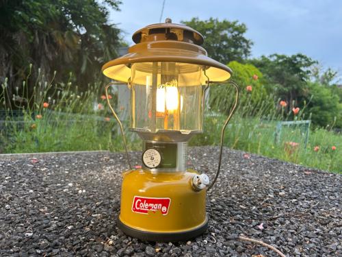 滅多にお目にかかれない？！】柏店 Coleman 228H