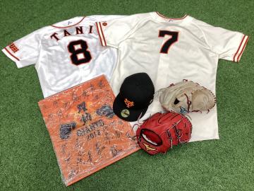 「スポーツ用品の野球 」