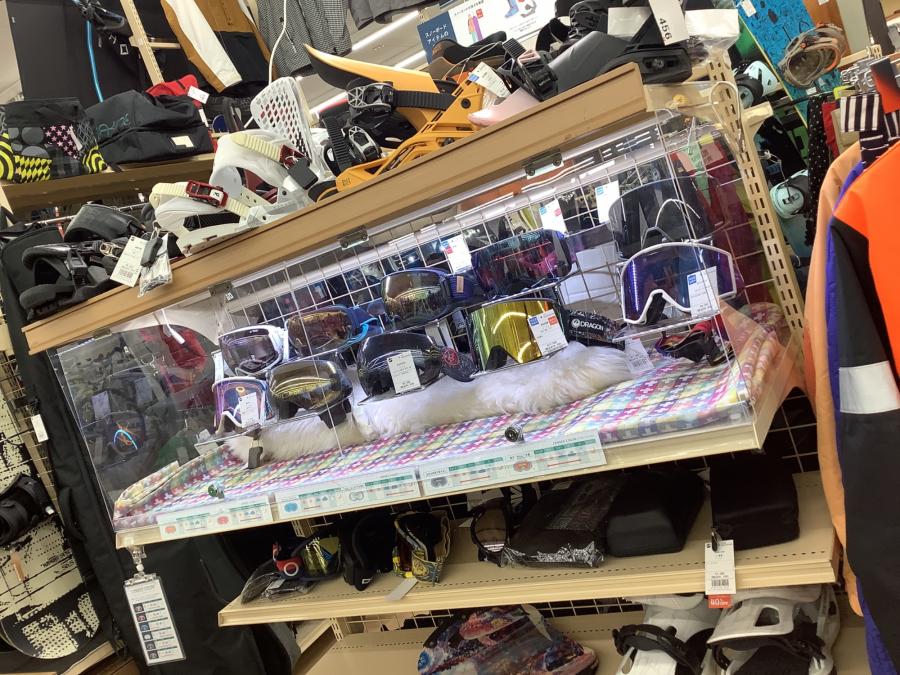 トレファクスポーツアウトドア柏店ブログ画像7