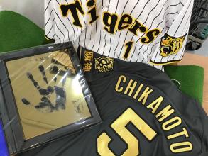阪神ユニフォーム一挙ご紹介！！【毎月８日は野球の日】