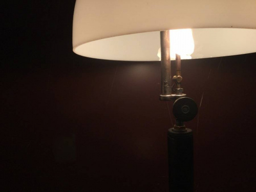 TFスポーツ岩槻店】魅惑のColeman(コールマン)ヴィンテージクイック