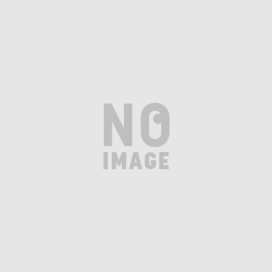 薪ストーブのテンマクデザイン